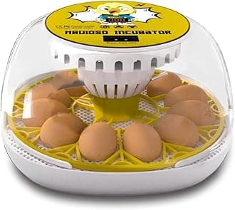 Egg Incubator 12-24 Eggs Automatic Intelligent Incubators for Hatching Eggs,with Automatic Turner and Temperature Control Small Poultry Incubator for Hatching Chicken Quail Duck Bird Eggs